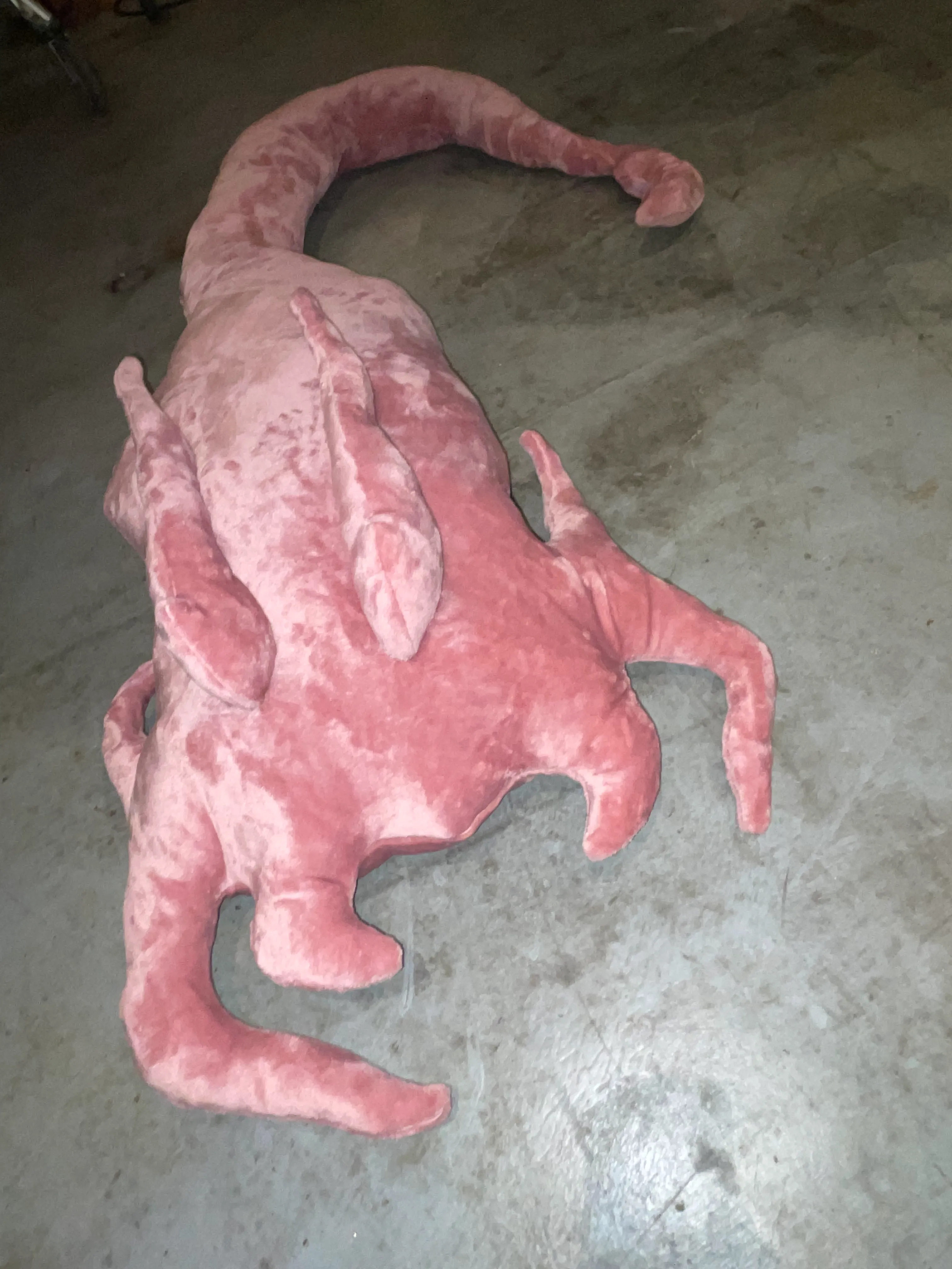 lying on a wave - image 2